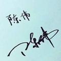 陈伟轮胎商行