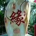 流沙666517