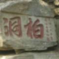 新157