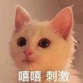 春风随堤柳头像