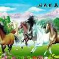鑫辉快餐高姐