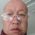 胡杨胡