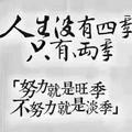大灰灰besos