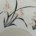 好好老师讲作文