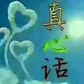 大雁2211