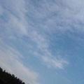 王鹏25419050