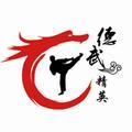 德武精英跆拳道
