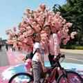 小玲子