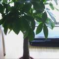 与世无争98272