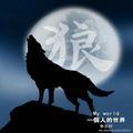 西北狼88834
