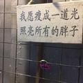 吥會倣棄伱_