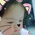 小猫