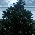 飘着的我！风声水起靠自己