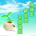 qq蒙蒙细雨qq