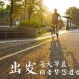 疯狂的执着