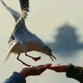 缘份天空