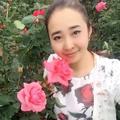 杨柳清青