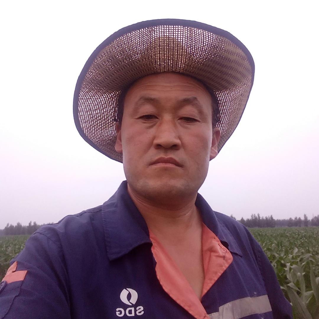 梦想成真