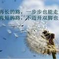 小马哥！！！！！！