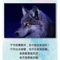 与狼共舞_