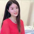 夏天玫瑰