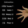 探花张～五彩云霞