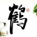 漫步人生路