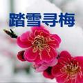 雪里梅花