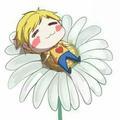 花开荼靡visan