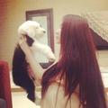 Tiffany