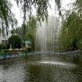 雷鸣(zhqin)