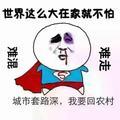 良哥_202458192
