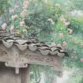 阳光些许明媚