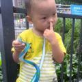 政府西街广东特色炒粉