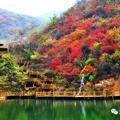云淡风清