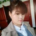 美丽的燕子
