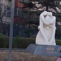 河北灬强仔