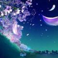 幸福每一天3828