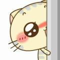 嘘`表吵