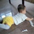 兰姐