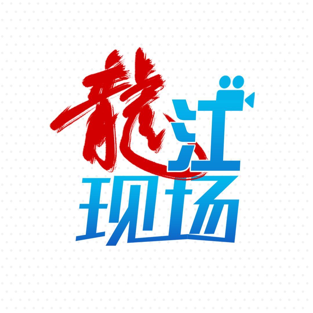 龙江现场