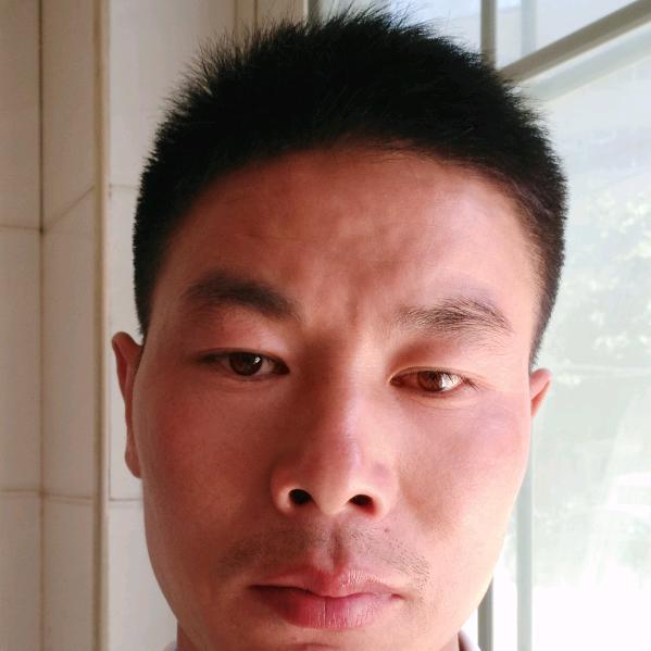 🐺孤独的狼🐺