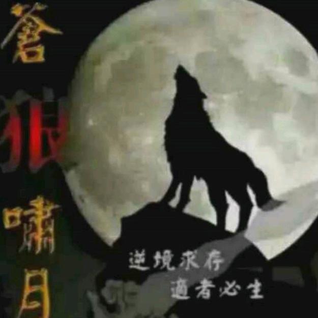 苍狼🐺