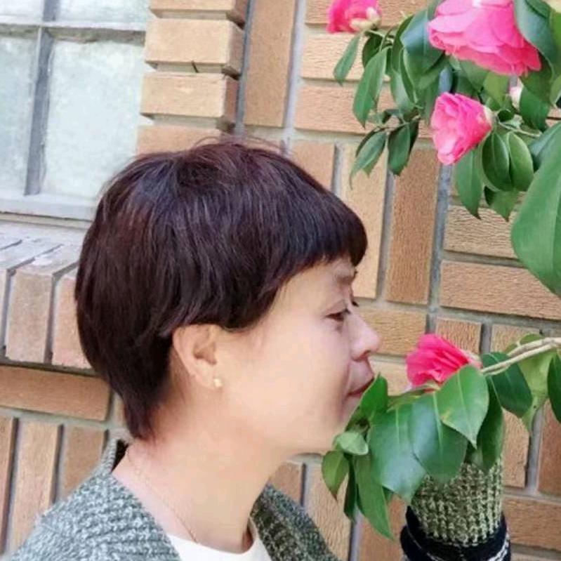 燕子
