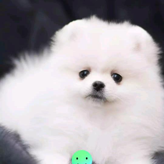 自邮自载