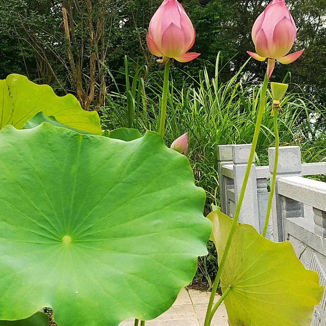 陈陈精选
