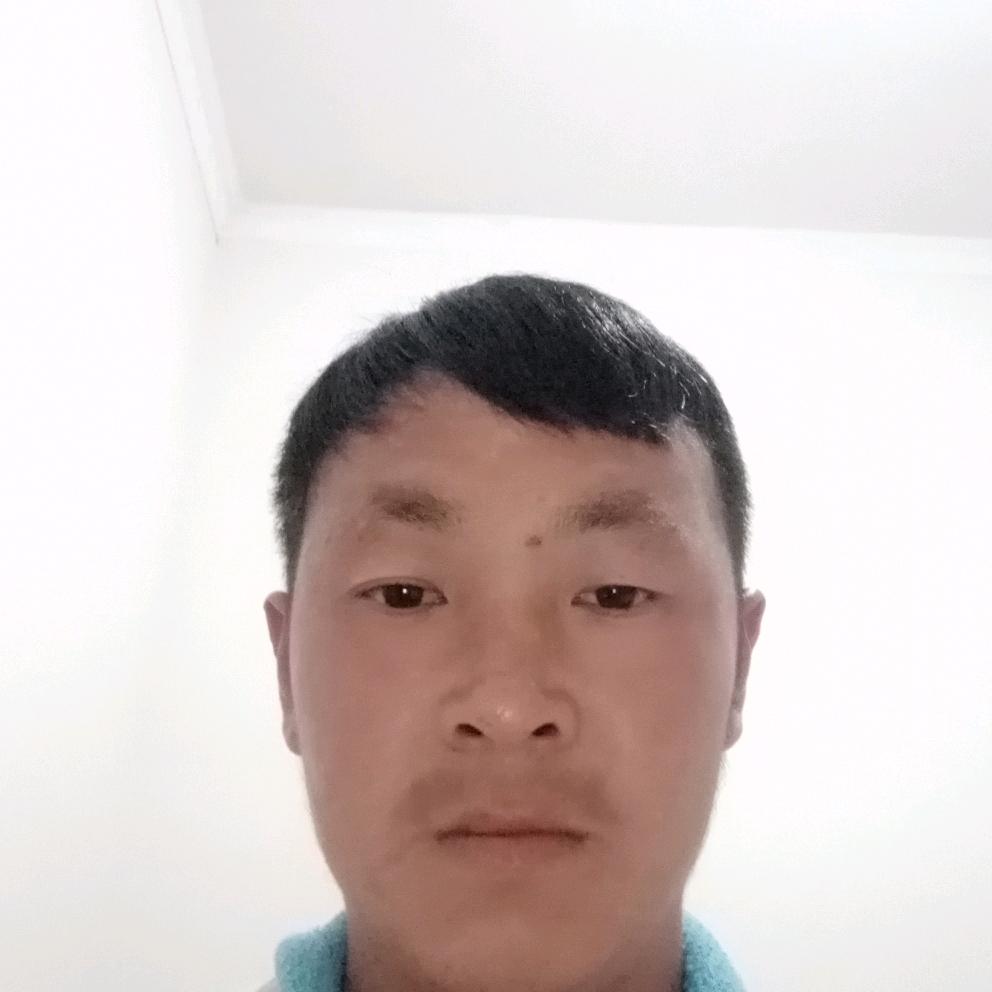 小杨哥哥