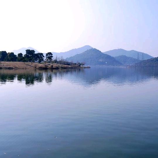 眼里住星河