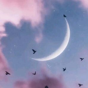 面朝大海，春暖花开