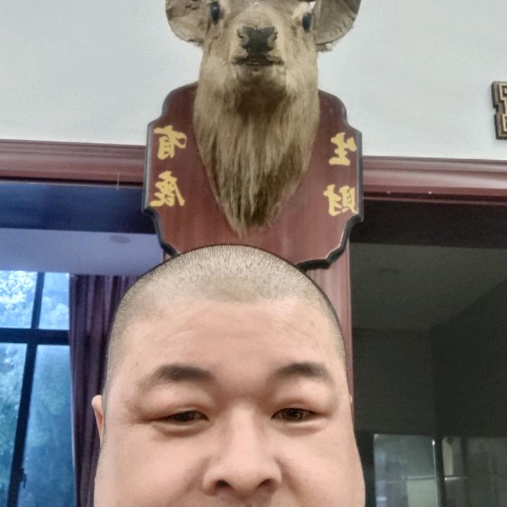 王志波